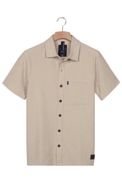 Giordano Shirt 616005