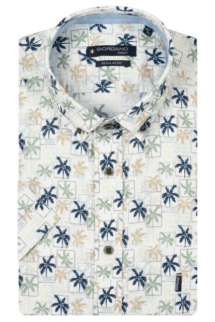 Giordano Shirt 616037 